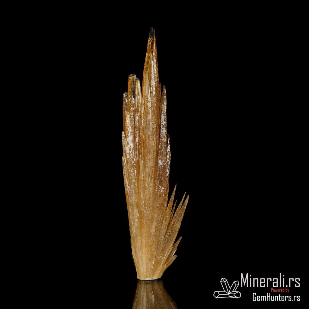 Aragonit iz Azkaratea u obliku igličastog snopa na crnoj pozadini